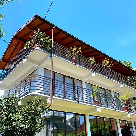Casa Ionut Ξενοδοχείο Borşa Εξωτερικό φωτογραφία