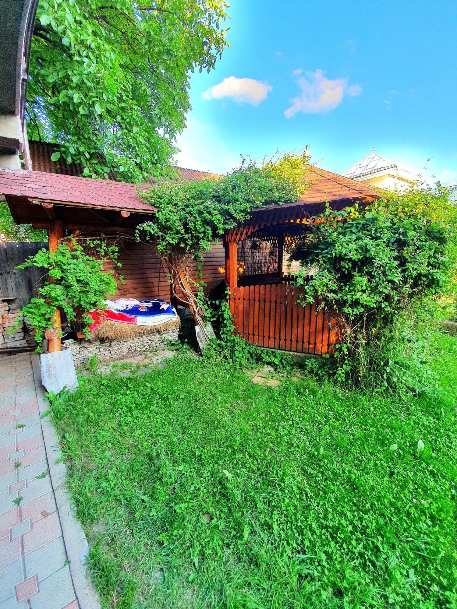 Casa Ionut Ξενοδοχείο Borşa Εξωτερικό φωτογραφία